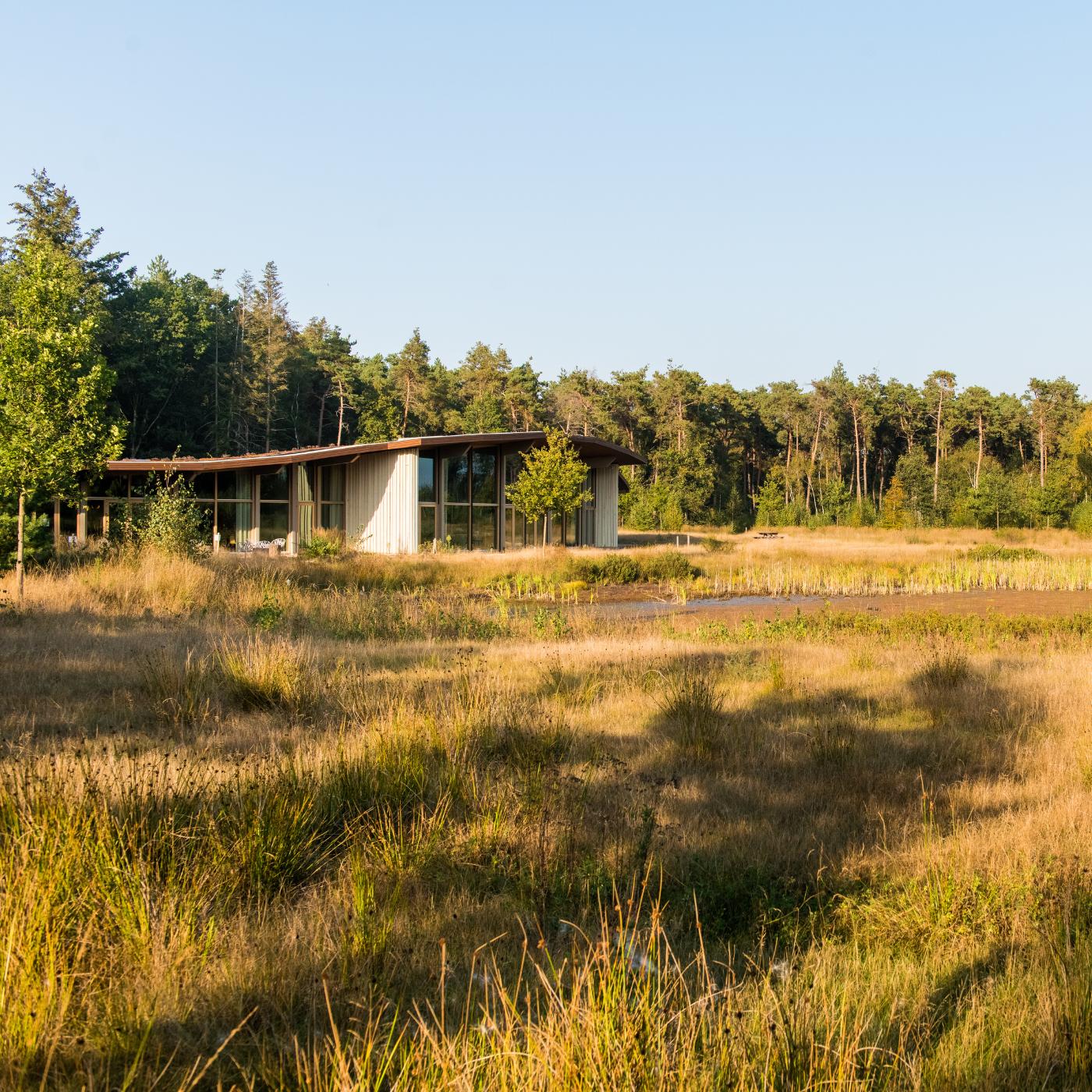 Cover Image Audiotour Natuurbegraafplaats Schoorsveld
