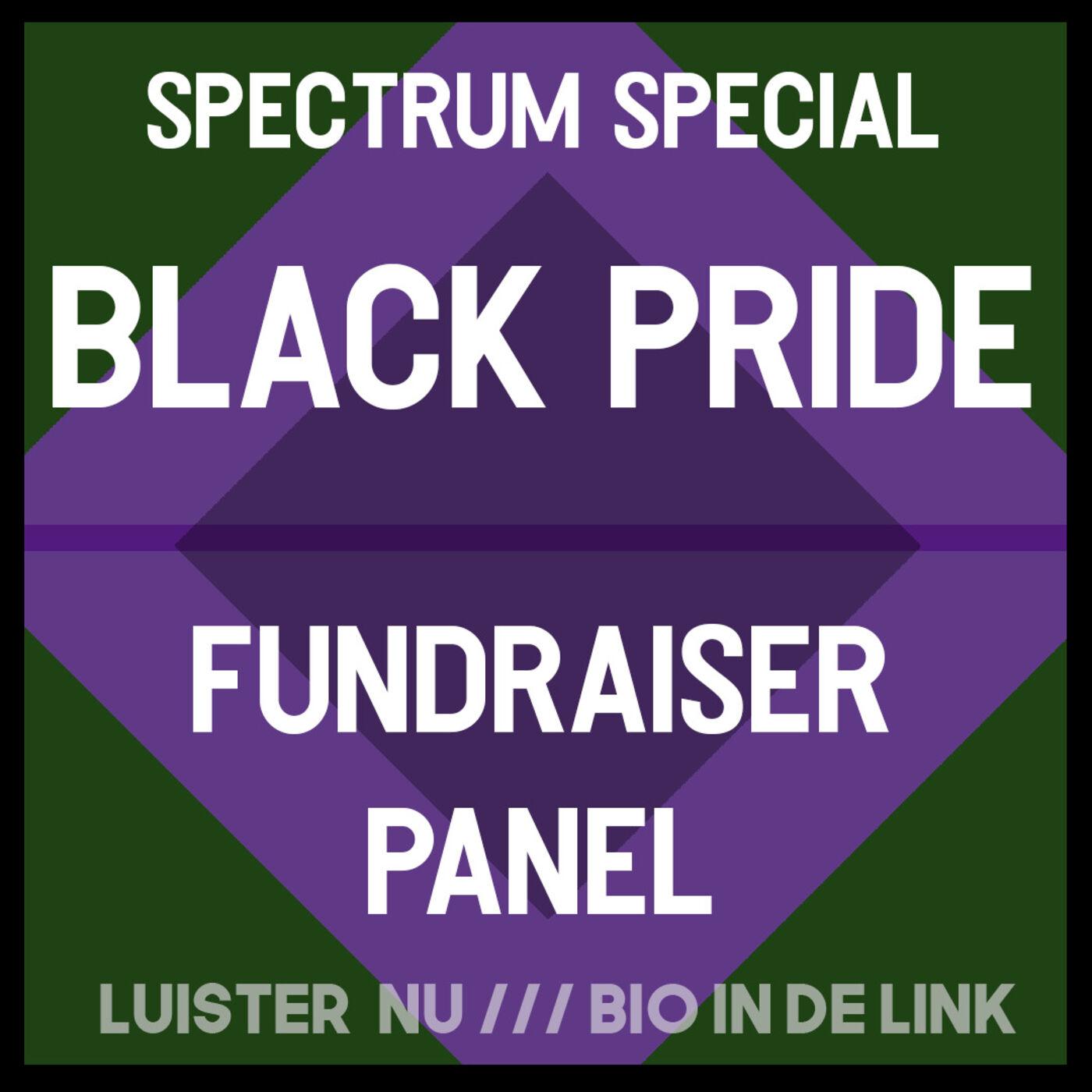 Spectrum Special - Black Pride Fundraiser Panel & Ballroom